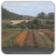 San Mateo County Video photo
