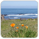 San Mateo County Profile