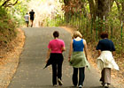 Hike, Jog, or Stroll