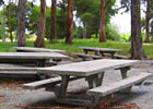 Picnic