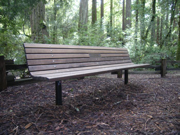 Commemorative Benches